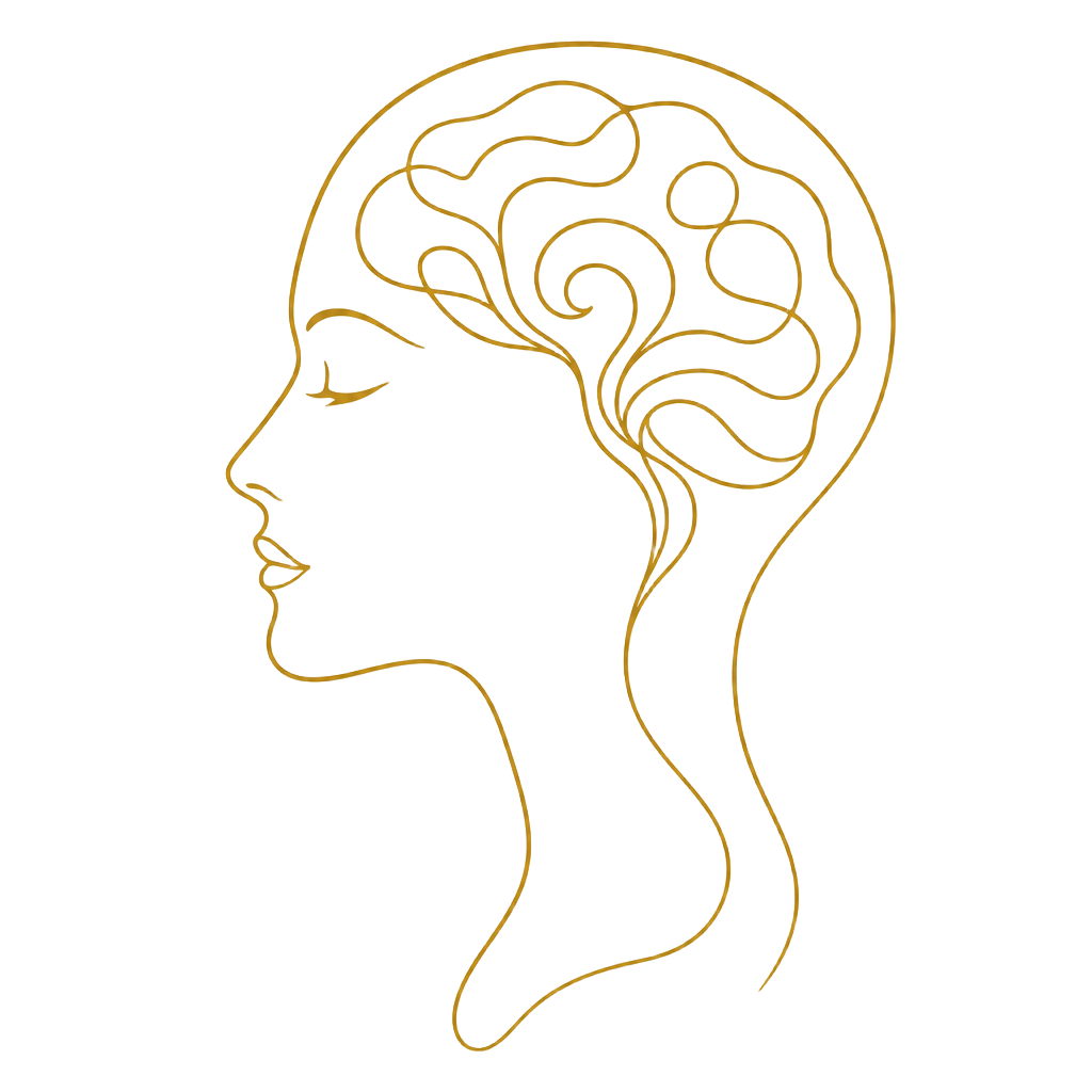 Perfil cerebral representando meditación y neuroplasticidad